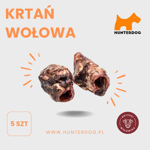 KRTAŃ WOŁOWA (3).png