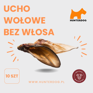 UCHO WOŁOWE BEZ WŁOSA / CAŁE / 10 SZTUK