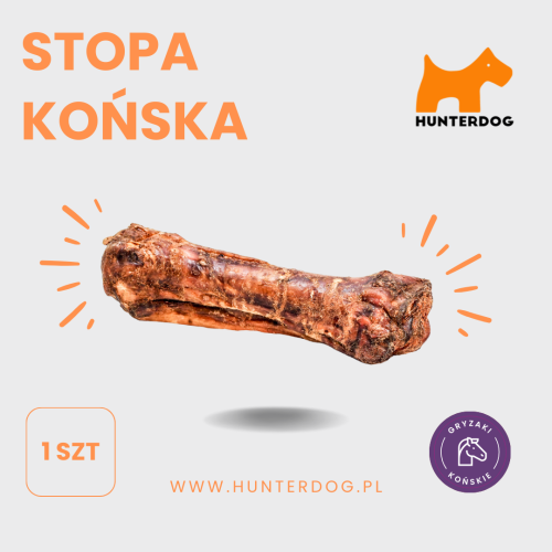 STOPA KOŃSKA 1 SZT.png