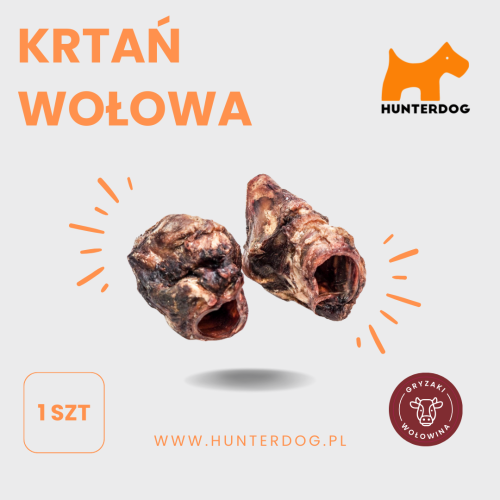 KRTAŃ WOŁOWA.png