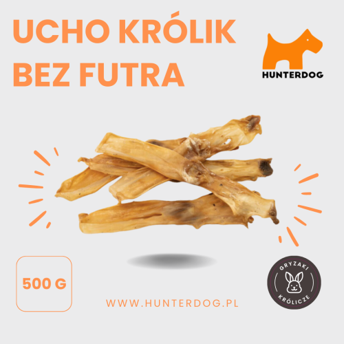 UCHO KRÓLIK BEZ FUTRA (3).png