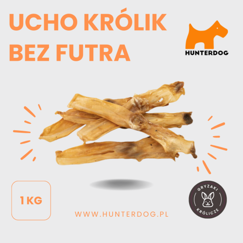 UCHO KRÓLIK BEZ FUTRA (4).png