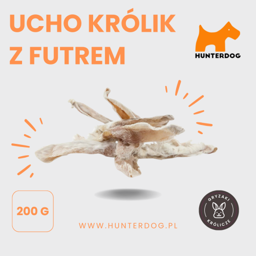 UCHO KRÓLIK Z FUTREM (2).png